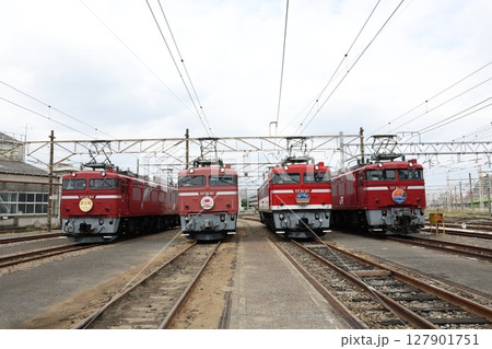EF81形電気機関車 EF81形電気機関車 127901751