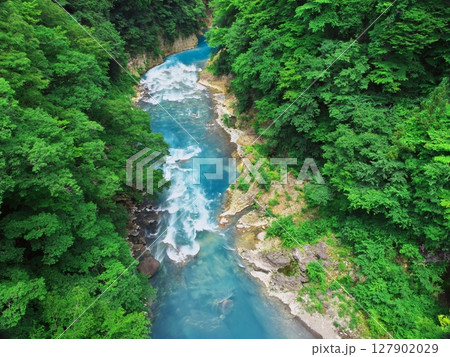 新緑あふれる群馬県 激流の吾妻峡 新緑あふれる群馬県 激流の吾妻峡 127902029
