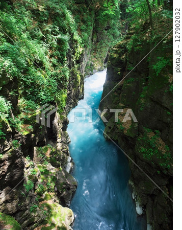 新緑あふれる群馬県　激流の吾妻峡 127902032
