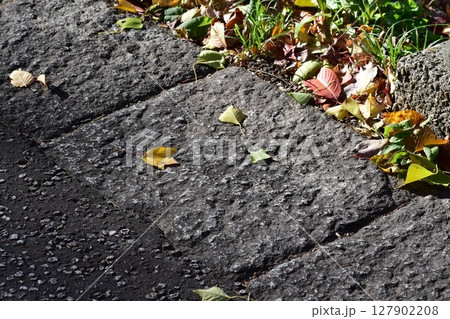 今もひっそりと佇む名古屋市電の軌道用敷石 127902208