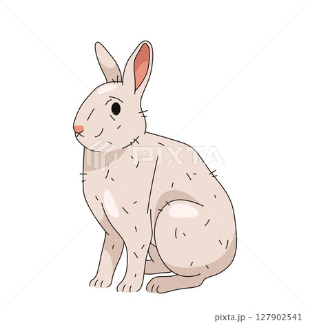 White rabbit or domestic bunny. Isolated vector of forest or wood hare. Furry wildlife mammal or fluffy animal. Easter holiday symbol or festive card element. Countryside pet. Nature and zoology. White rabbit or domestic bunny. Isolated vector of forest or wood hare. Furry wildlife mammal or fluffy animal. Easter holiday symbol or festive card element. Countryside pet. Nature and zoology. 127902541