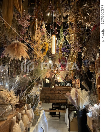 ドライフラワーの森 ドライフラワーの森 127902577