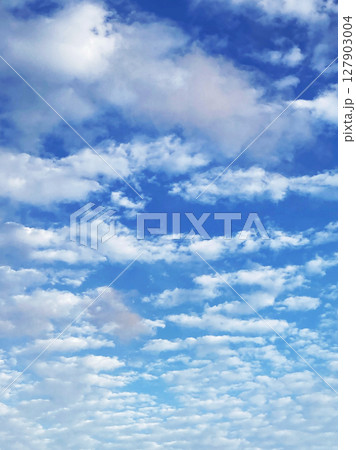 いわし雲  127903004