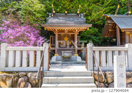 西国街道の神社群(西宮)を鎮守する廣田神社 末社 境内社 松尾神社(コバノミツバツツジ) 西国街道の神社群(西宮)を鎮守する廣田神社 末社 境内社 松尾神社(コバノミツバツツジ) 127904084
