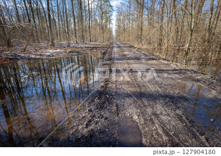 A path through a wet and muddy forest 127904180