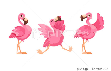 Playful Pink Flamingos in Various Poses for Engaging and Fun Media Use and Purposes 127904292