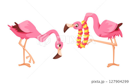 Two Delightful and Charming Pink Flamingos Radiating a Tropical Flair and Unique Style Two Delightful and Charming Pink Flamingos Radiating a Tropical Flair and Unique Style 127904299