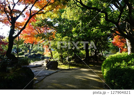 秋の好古園 御屋敷の庭 秋の好古園 御屋敷の庭 127904821