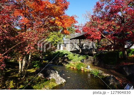 紅葉が美しい秋の好古園　流れの平庭　流翠亭 127904830