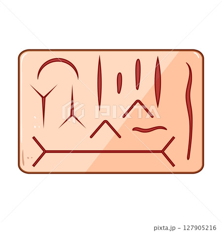 kit suture practice pad cartoon vector illustration kit suture practice pad cartoon vector illustration 127905216