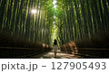 鮮やかな竹林と女性 127905493