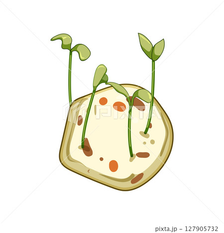 habitat grass seed bomb cartoon vector illustration 127905732