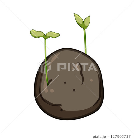 wildflowers grass seed bomb cartoon vector illustration 127905737