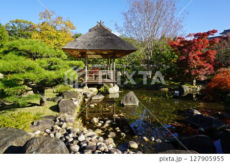 紅葉が美しい秋の好古園　築山池泉の庭 127905955