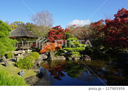 紅葉が美しい秋の好古園　築山池泉の庭 127905956