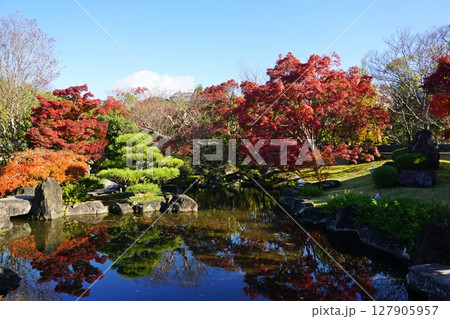 紅葉が美しい秋の好古園　築山池泉の庭 127905957