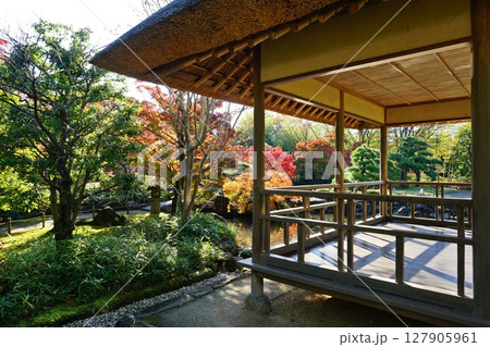 紅葉が美しい秋の好古園　築山池泉の庭 127905961