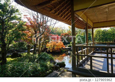 紅葉が美しい秋の好古園　築山池泉の庭 127905962