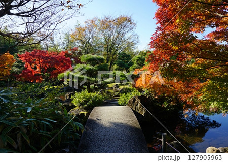 紅葉が美しい秋の好古園　築山池泉の庭 127905963