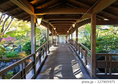 秋の好古園　渡り廊下 127905975
