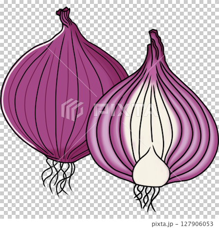 Onion  127906053