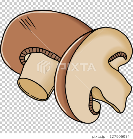 Mushroom  127906054