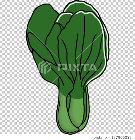 Pak Choi Pak Choi 127906055
