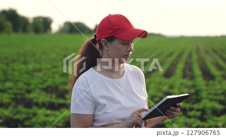 Agriculture, Smiling female farmer in green field at sunset, Woman farmer using tablet in crop field at dusk, Happy woman portrait working on a farm with a tablet, Female agricultural worker with 127906765