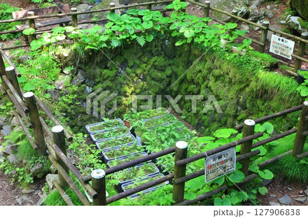 【愛媛県】上林森林公園の風穴（上林の風穴） 127906838