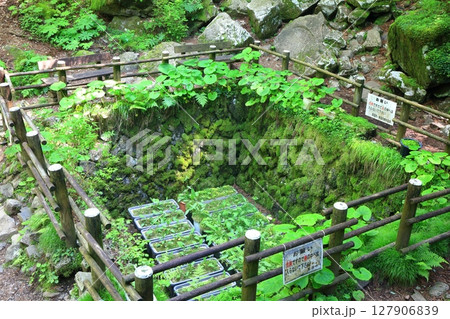 【愛媛県】上林森林公園の風穴（上林の風穴） 127906839