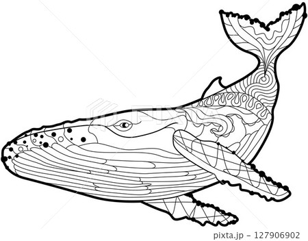 Swimming whale for anti stress Coloring Page. Swimming whale for anti stress Coloring Page. 127906902