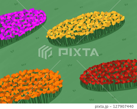 seamless pattern made of garden  127907440