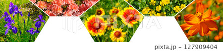 Colorful collage of flowers garden. Mosaic pattern. 127909404