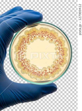 Hand holding petri dish with bacterial colonies isolated on transparent background, microbiology research Hand holding petri dish with bacterial colonies isolated on transparent background, microbiology research 127909412