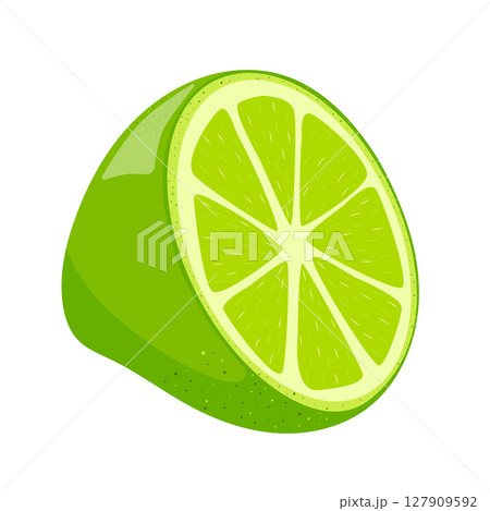 Slice of lime, green, lemon, vector graphics, drawn on a white background. 127909592