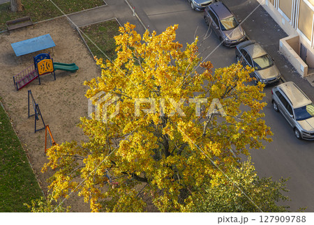 Residential area of Moscow (Aerial view), Russia. Sunny autumn day 127909788