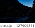 ホタルが舞う初夏の奈良県吉野郡野迫川村 川原樋川 ホタルが舞う初夏の奈良県吉野郡野迫川村 川原樋川 127909841