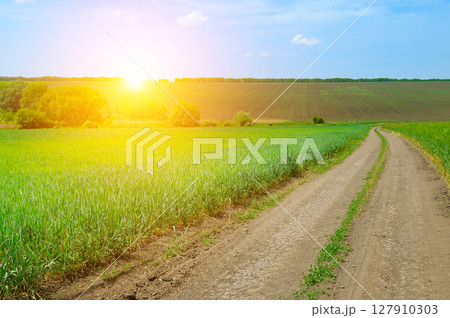 country road, green farmland natural scenery and bright sunset. 127910303