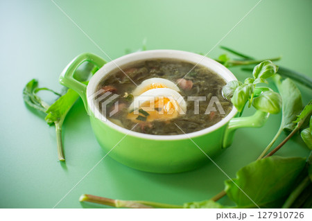 Homemade green borscht with boiled egg and fresh sorrel on top Homemade green borscht with boiled egg and fresh sorrel on top 127910726