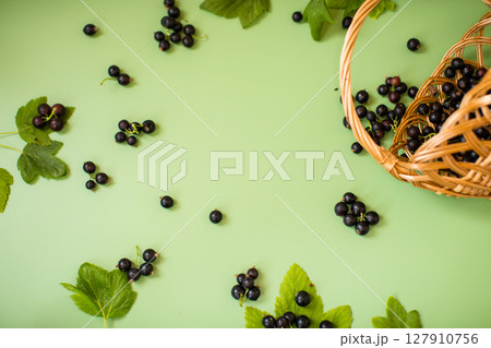 Scattered currant berries next to a basket on a green background 127910756