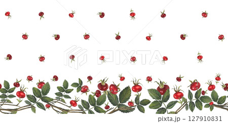 Horizontal seamless border of rose hips berries and leaves Illustration isolated on white background for fabric, textile, prints, design, cards Horizontal seamless border of rose hips berries and leaves Illustration isolated on white background for fabric, textile, prints, design, cards 127910831
