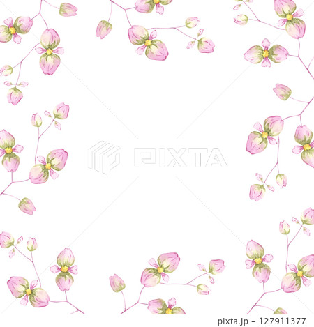 Watercolor begonia flowers frame. A soft floral illustration. Perfect for spring and romantic design 127911377