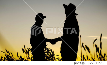 A handshake seals the wheat deal at sunset, Farmers agree on wheat prices with a firm handshake, Two individuals shake hands in a golden wheat field, Business partners solidify their wheat trade with 127911556