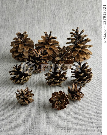 Pine cones of different sizes on a burlap background. Close-up Pine cones of different sizes on a burlap background. Close-up 127912321