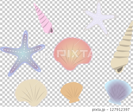 Seashell Seashell 127912397