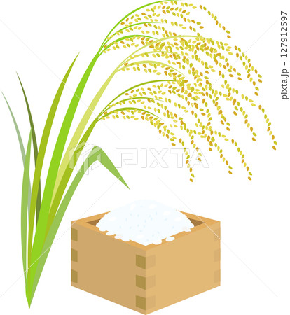 お米 お米 127912597