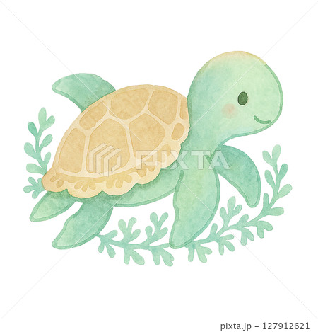 海藻と泳ぐウミガメ 水彩風切り抜き素材 海藻と泳ぐウミガメ 水彩風切り抜き素材 127912621