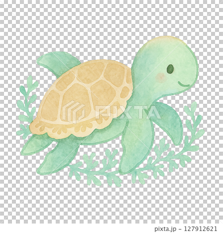 海藻と泳ぐウミガメ 水彩風切り抜き素材 海藻と泳ぐウミガメ 水彩風切り抜き素材 127912621