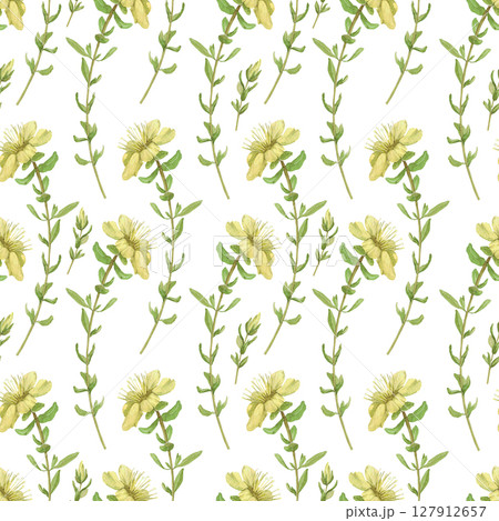 Watercolor seamless pattern of medicinal herbs with Hypericum flowers.Hand-drawn clip-art on white background.Realistic images of herbs for packaging, textiles,wedding,cards,menu 127912657