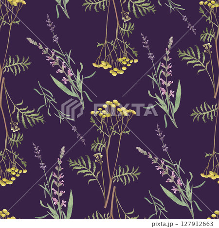 Watercolor seamless pattern of tansy, lavander, salvia.Hand-drawn clip-art on dark background.Realistic images of Medicinal herbs for packaging, textiles, printing, holiday cards, wedding, menu Watercolor seamless pattern of tansy, lavander, salvia.Hand-drawn clip-art on dark background.Realistic images of Medicinal herbs for packaging, textiles, printing, holiday cards, wedding, menu 127912663